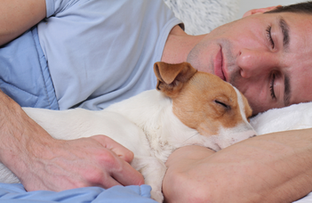 Kutyák segíthetnek megérteni az alvás pszichológiáját