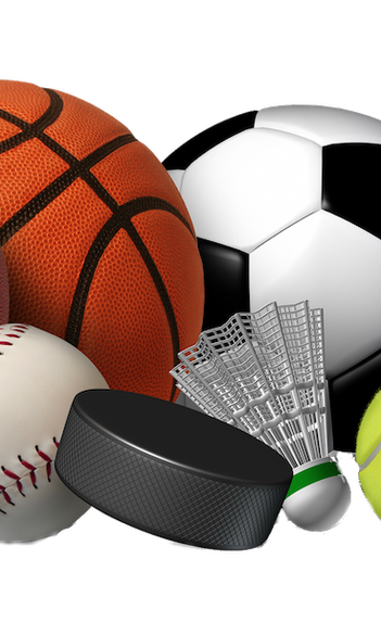 Sports course fees
