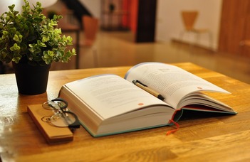 The Pragmatics of English as a Lingua Franca in an International University Context: An Exploratory Study of Language Use From Multiple Perspectives