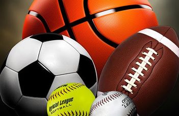 Sports course fees
