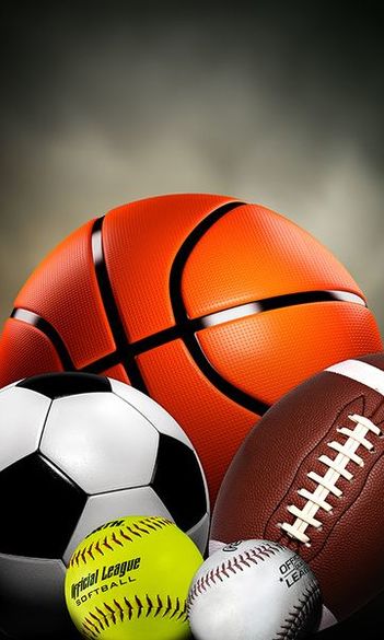 Sports course fees